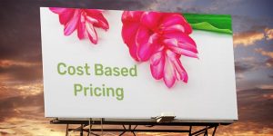 cost based pricing