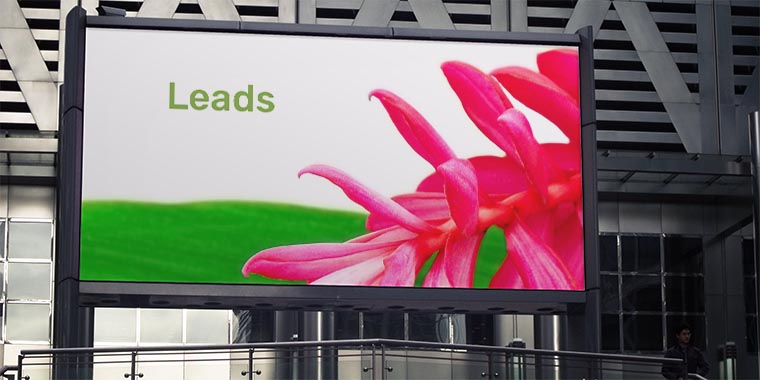 leads